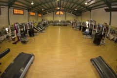 Bodybuilding Salon 2